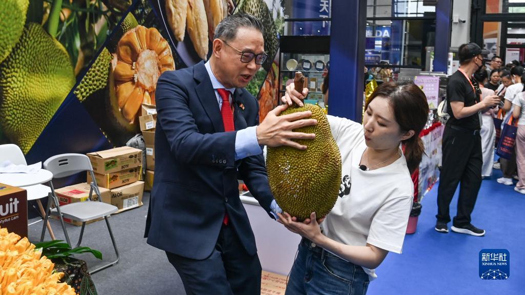 大力菠菜app